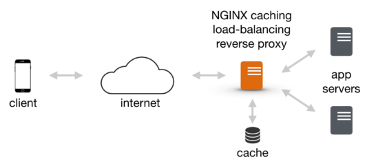 nginx-reverse-proxy-pic.png