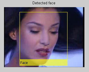 DetectedFace2.png