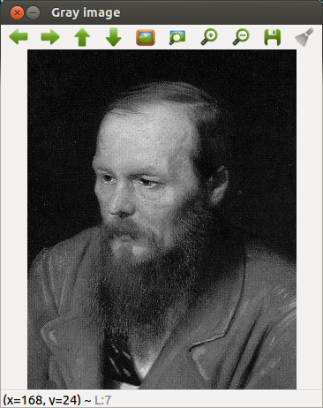 Dostoevsky_Gray.png height=