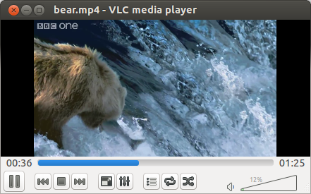 vlc_playing_bear.png