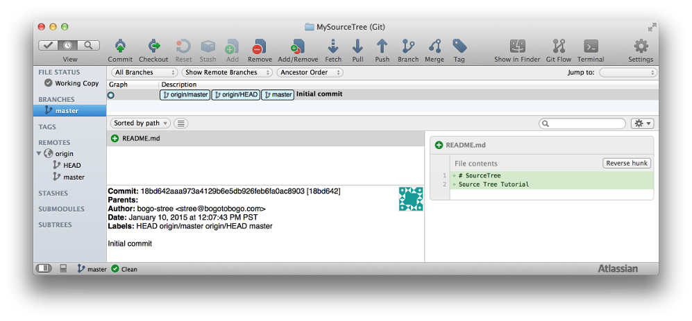 SourceTreeGitMasterBranch.png