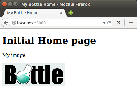 bottle_with_image_static.png
