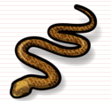 python_image