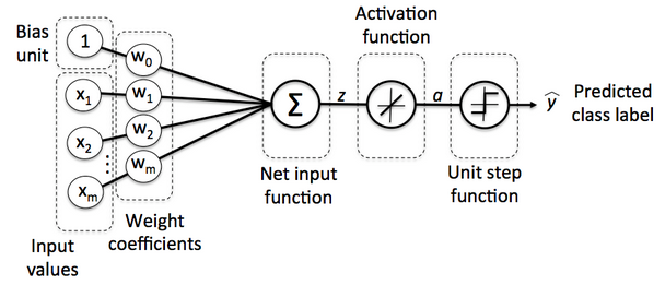 Single-Layer-Neural-Network-Diagram.png