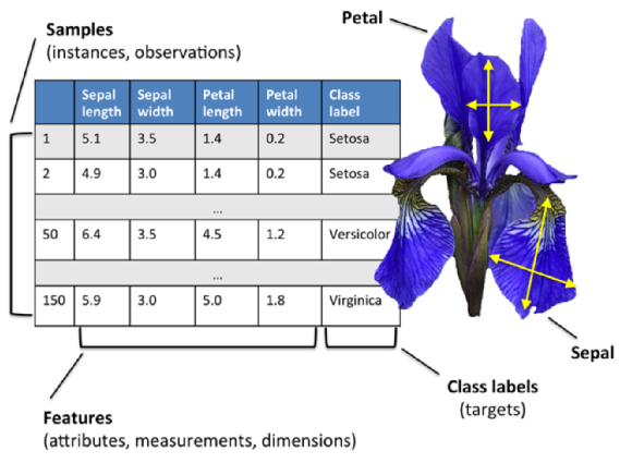 iris-data-set.png