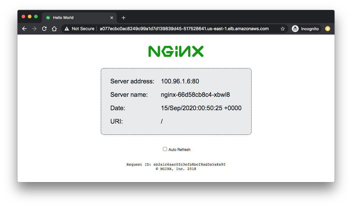 demo-nginx-browser.png