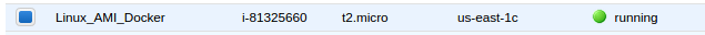 Running_Linux_AMI_Docker.png