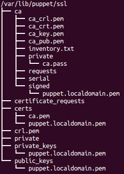 ssl-cert.png