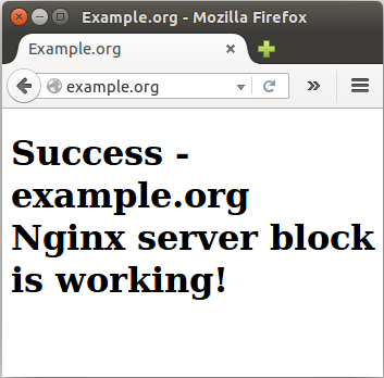 Nginx-example-org.png