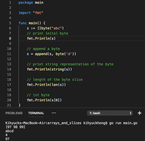 golang byte assignment