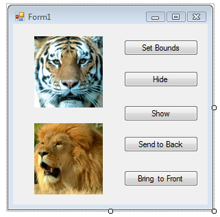 FormWithTigerAndLion