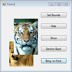 RunTigerAndLionForm