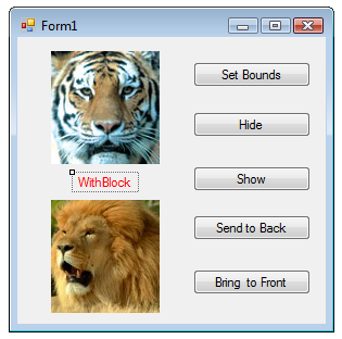 WithBlockLabel
