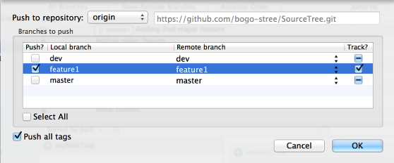 PushFeatureBranchToGitHub.png