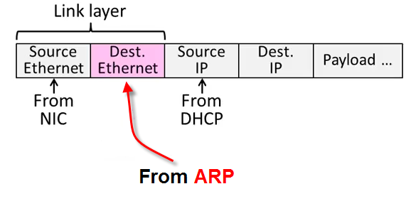 arp_pic.png