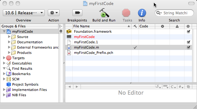 myFirstCodeProjectWindow