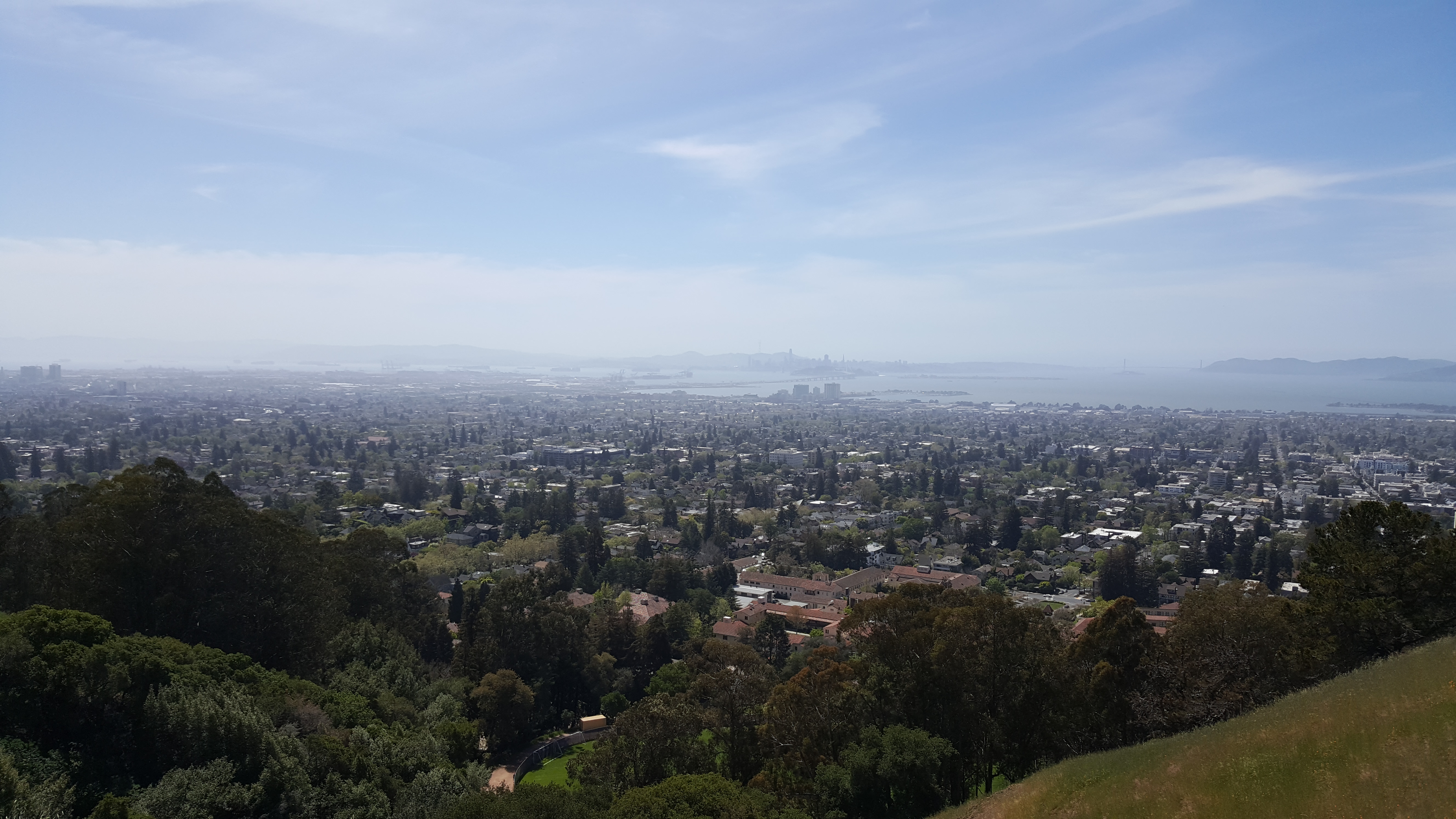 Panoramic-Hill-Berkeley-20210411_140720.jpg
