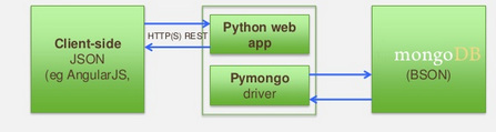 PyMongo-Driver.png