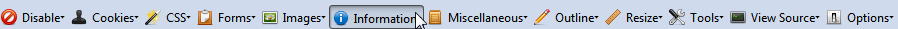 Firefox_web_developer_information.png