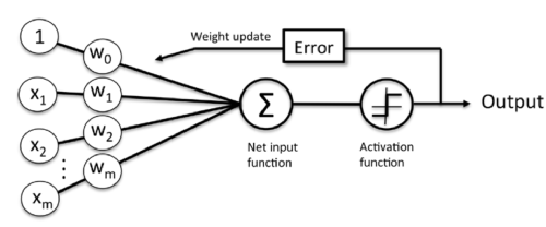 PerceptronDiagram.png